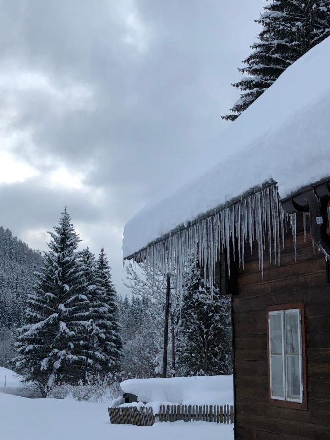 Chalet Anno 1794 Rettenegg Ngoại thất bức ảnh